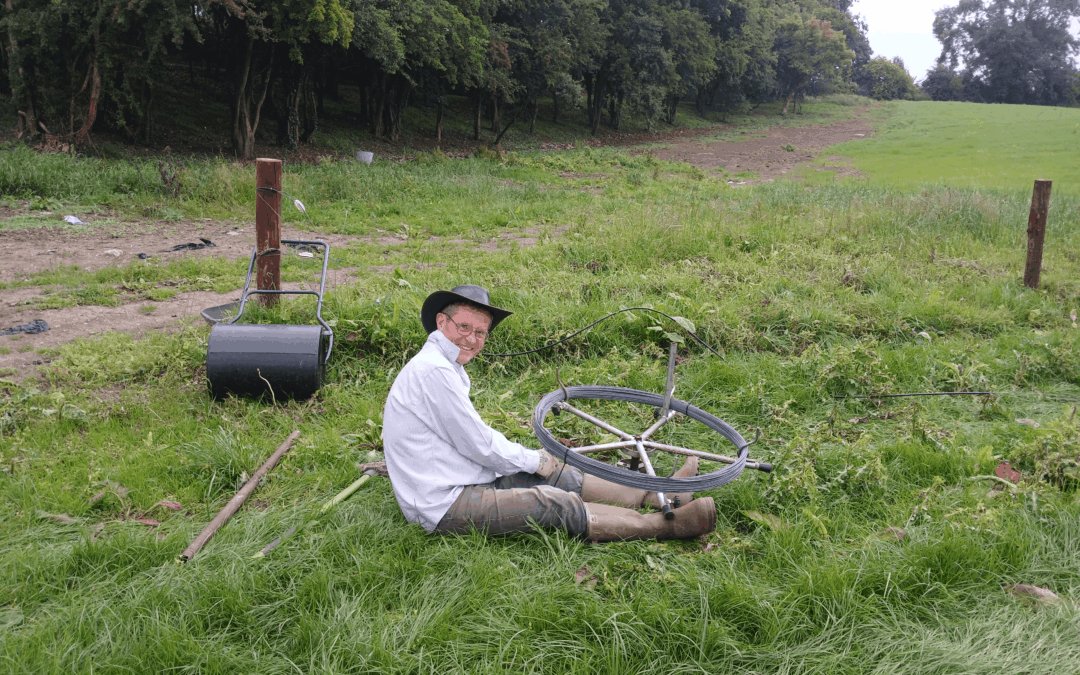 Planting for the Future: Why We’re Trialling almost 30 Grape Varieties at Irish Wine Estates