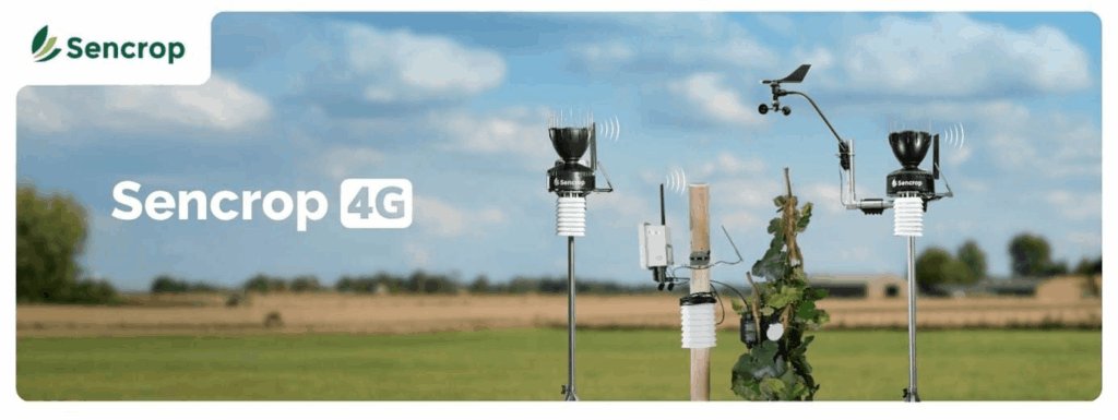 Installing a Sencrop 4G+ Weather Station at Irish Wine Estates: A Game Changer for Irish Viticulture