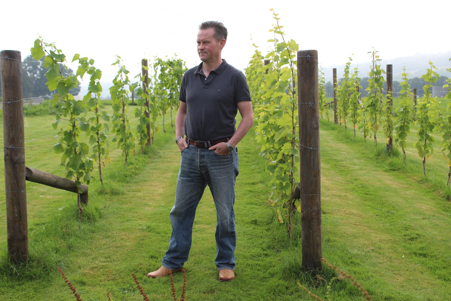 Stephen walking the pilot vineyard at Ballystanley