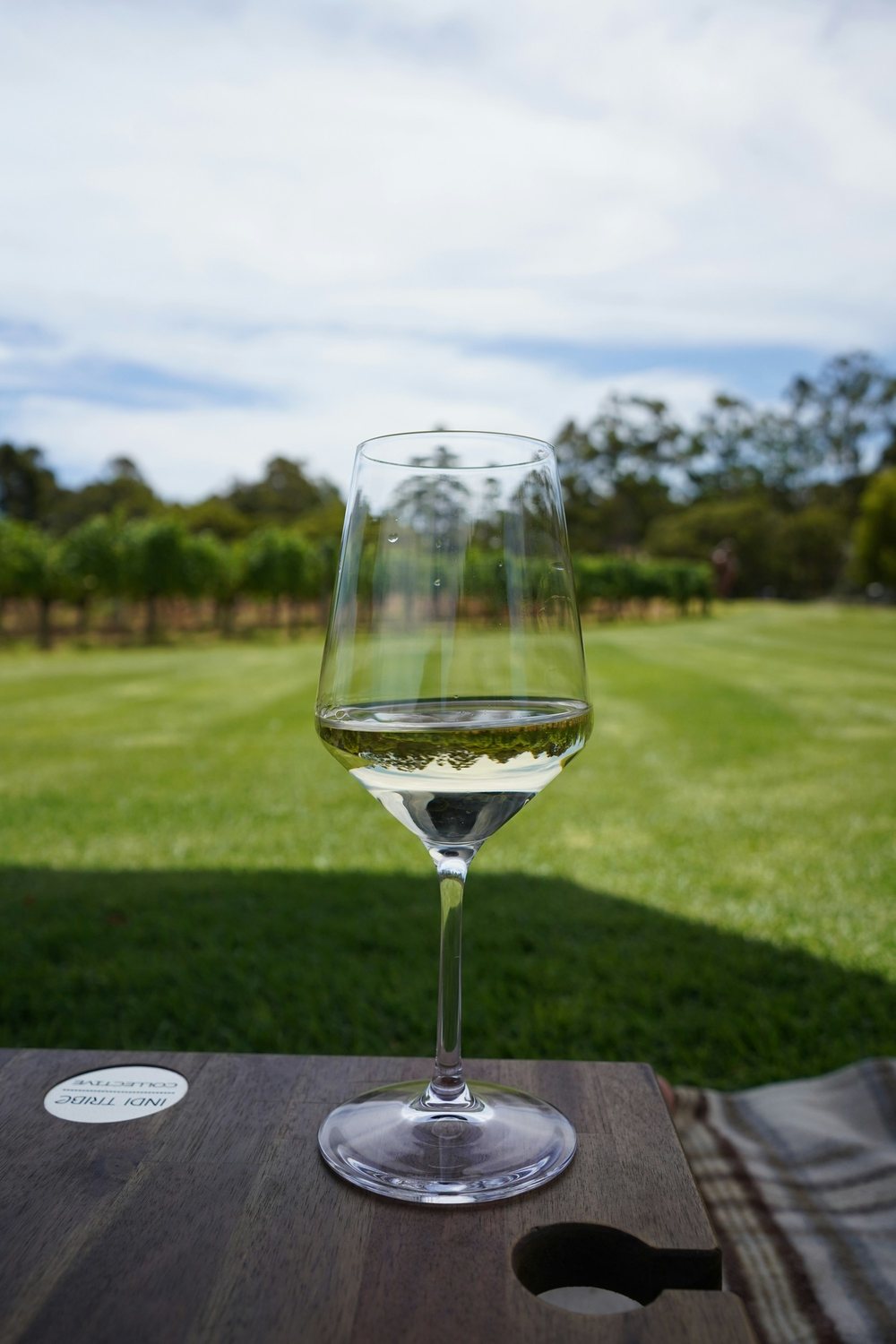 A glass of white wine in front of green vineyard rows under a cloudy sky