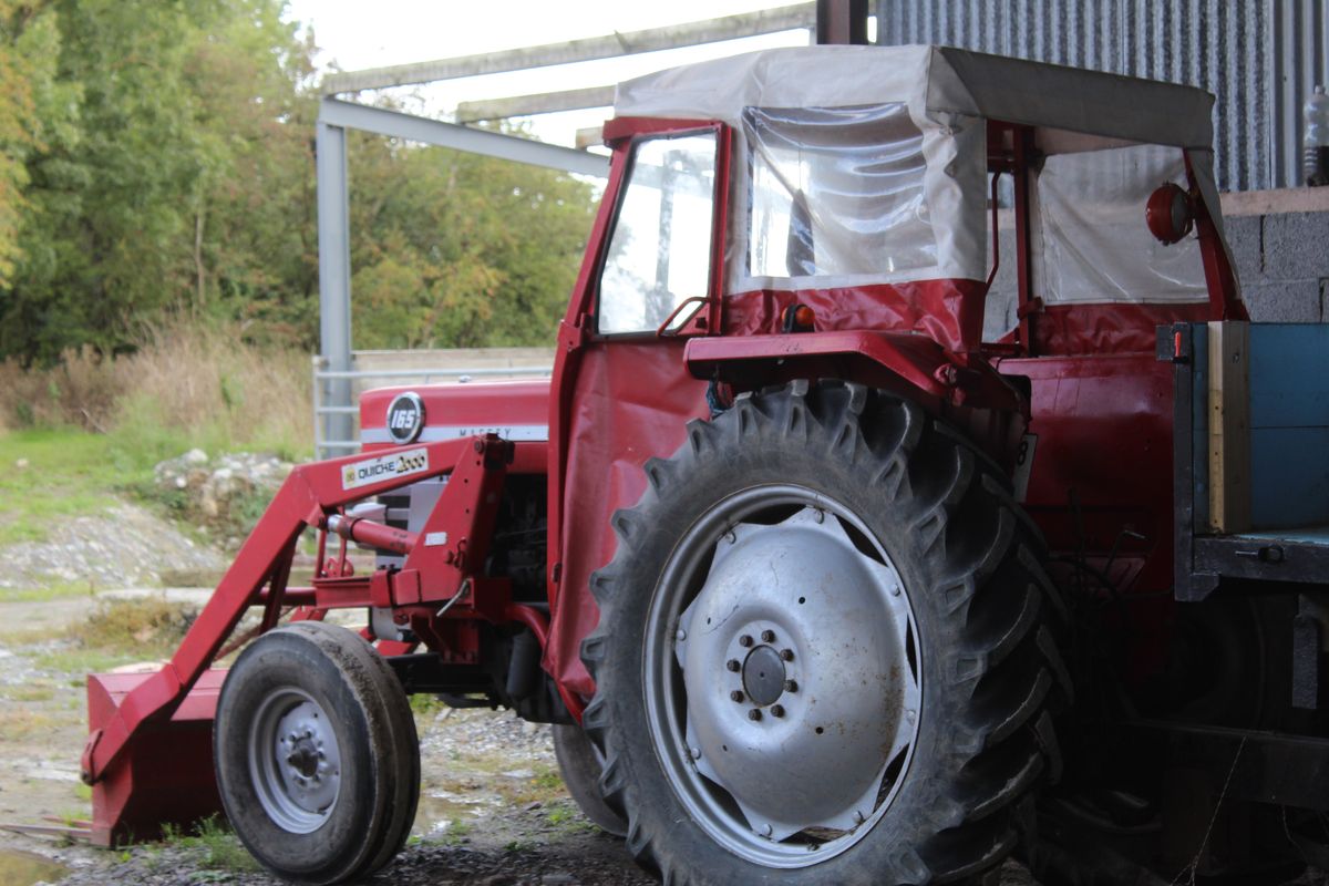 The farm’s red Massey Ferguson tractor beside a farm shed